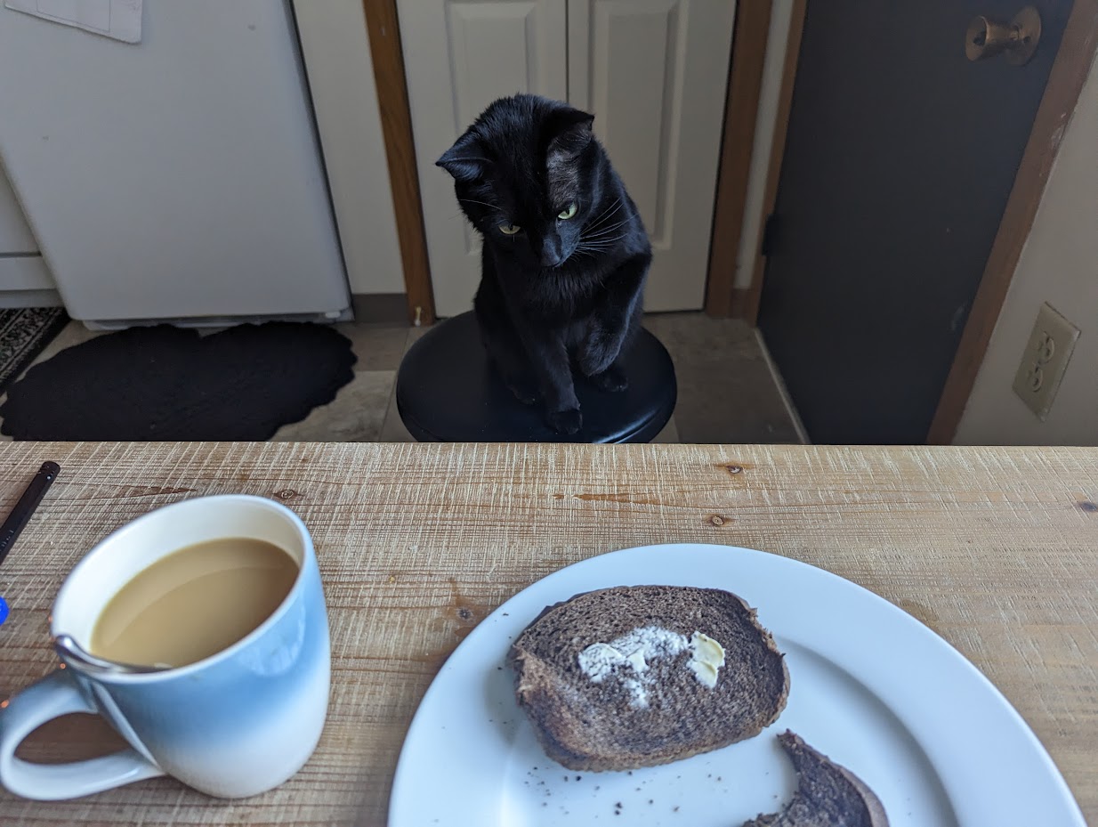 A photo of a black cat sitting on a stool in front of a table with a cup of coffee and a plate of toast. He is eyeing the toast and has a paw tenatively raised.